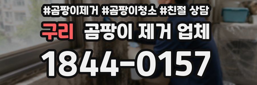 구리 곰팡이 제거 업체