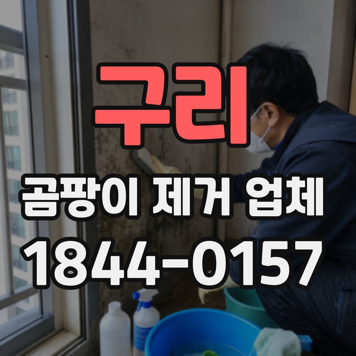 구리 곰팡이 제거 업체