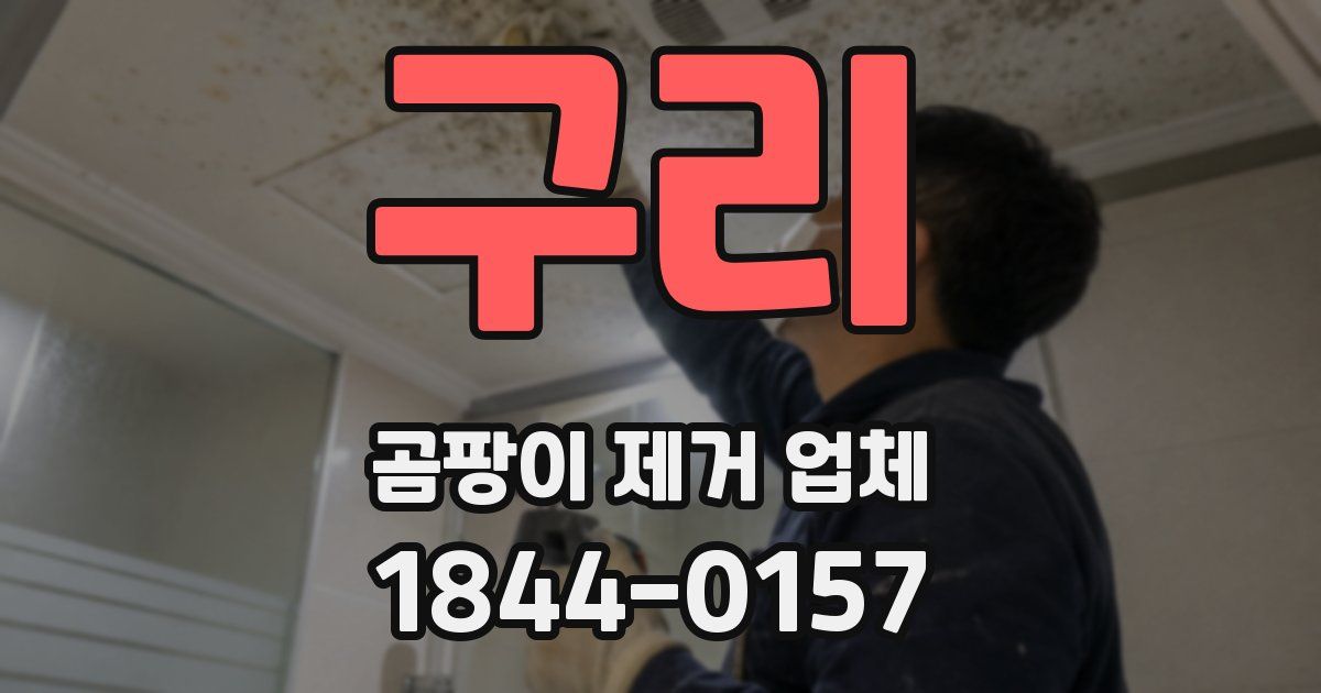 구리 곰팡이 제거 업체