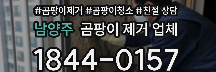 남양주 곰팡이 제거 업체