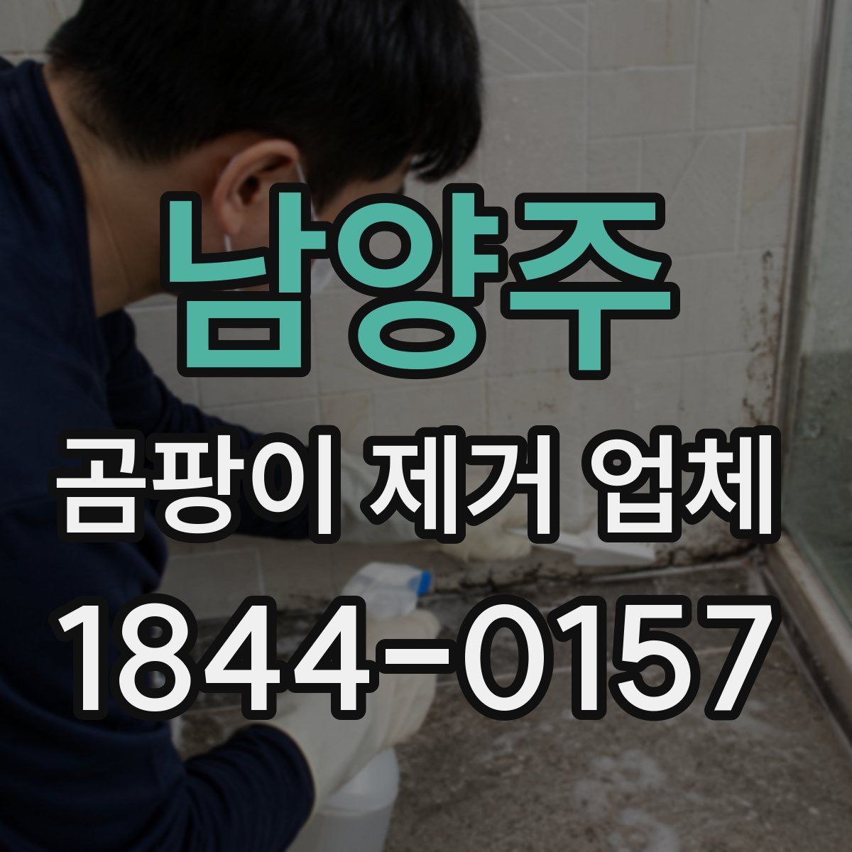 남양주 곰팡이 제거 업체