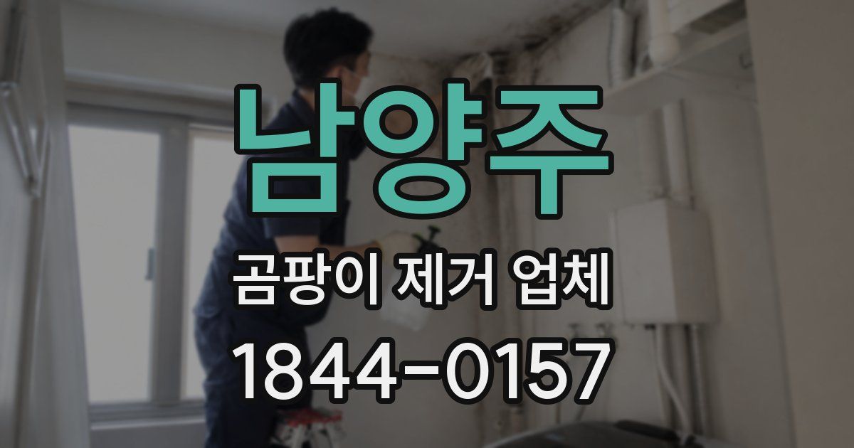 남양주 곰팡이 제거 업체