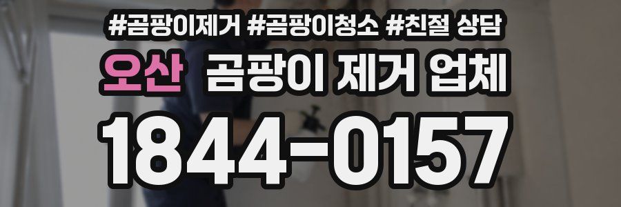 오산 곰팡이 제거 업체