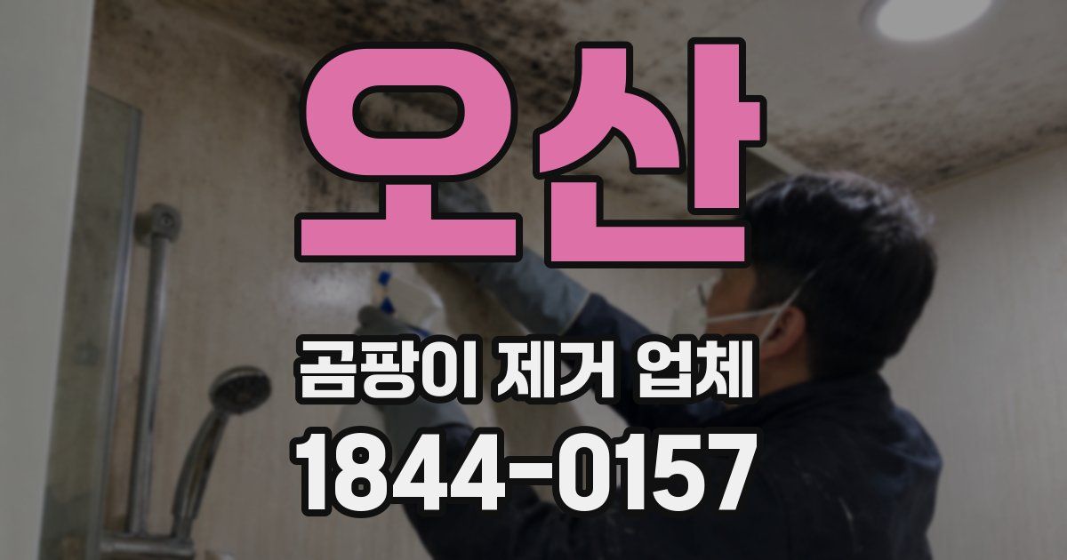 오산 곰팡이 제거 업체