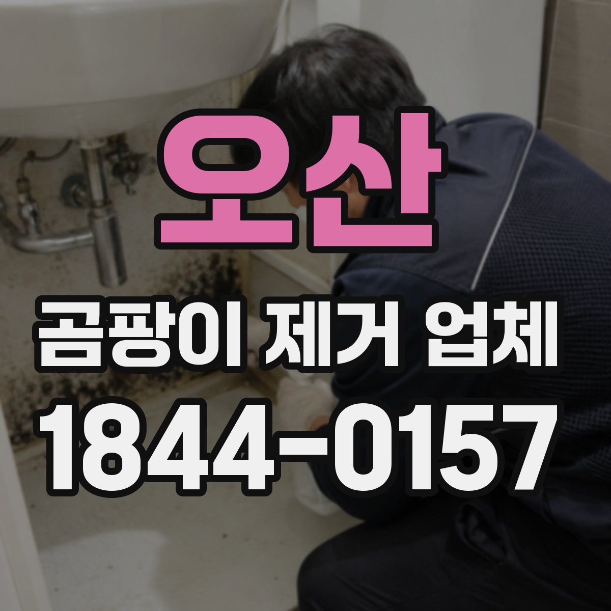 오산 곰팡이 제거 업체