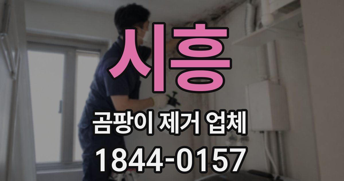 시흥 곰팡이 제거 업체
