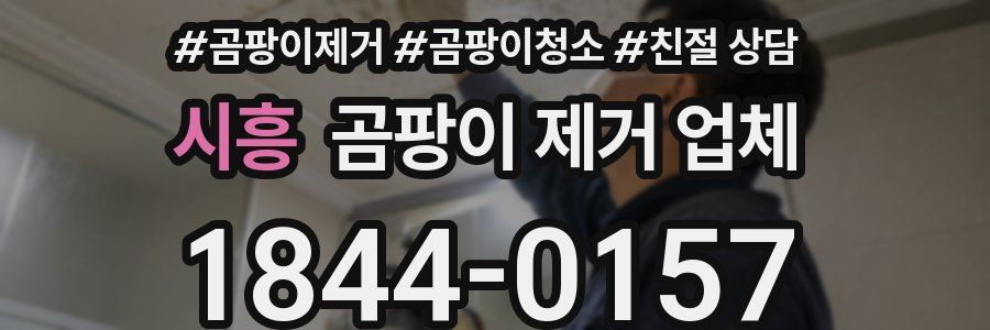 시흥 곰팡이 제거 업체