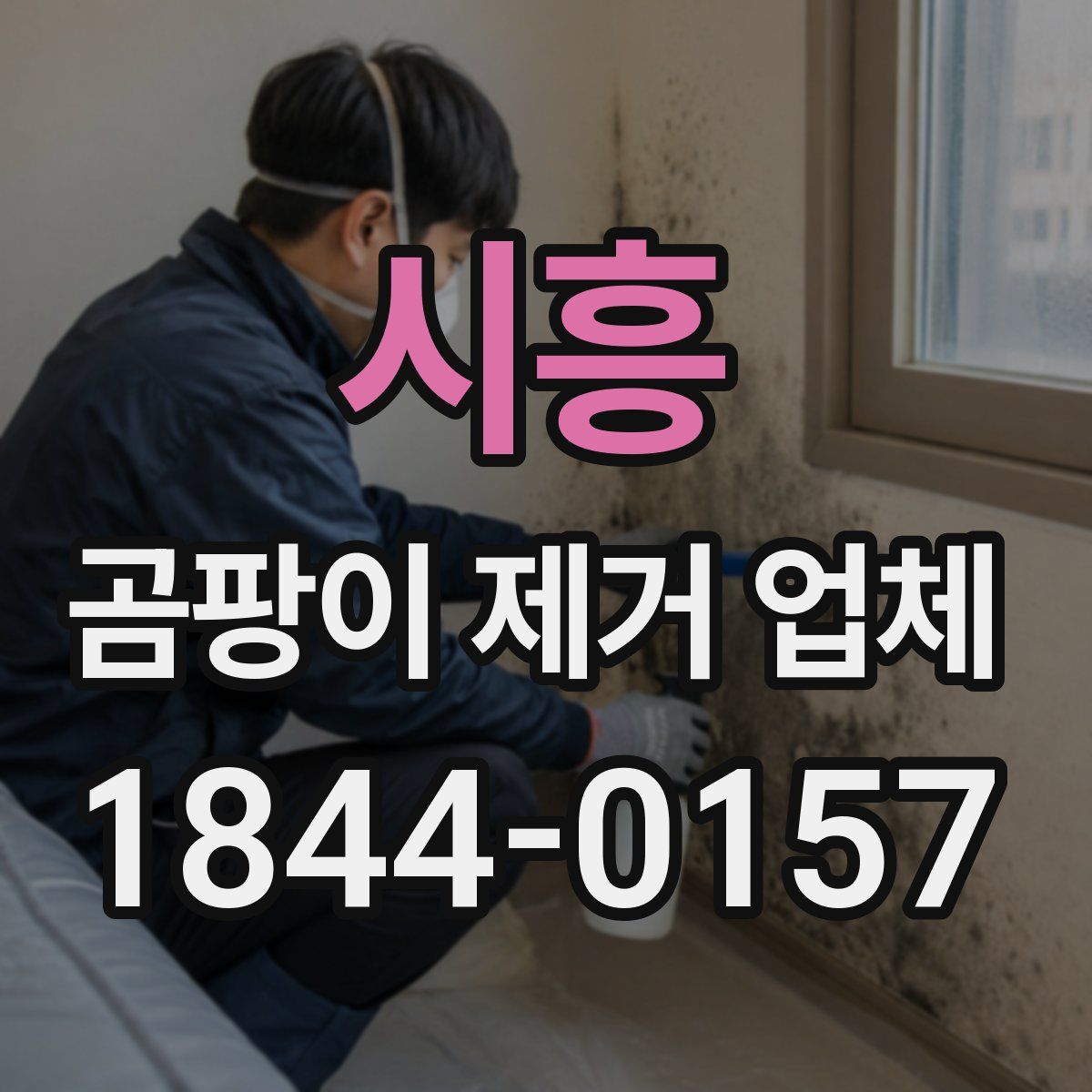 시흥 곰팡이 제거 업체