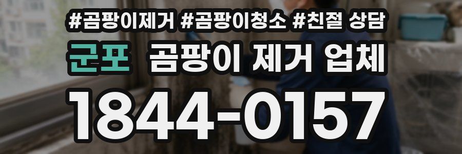군포 곰팡이 제거 업체