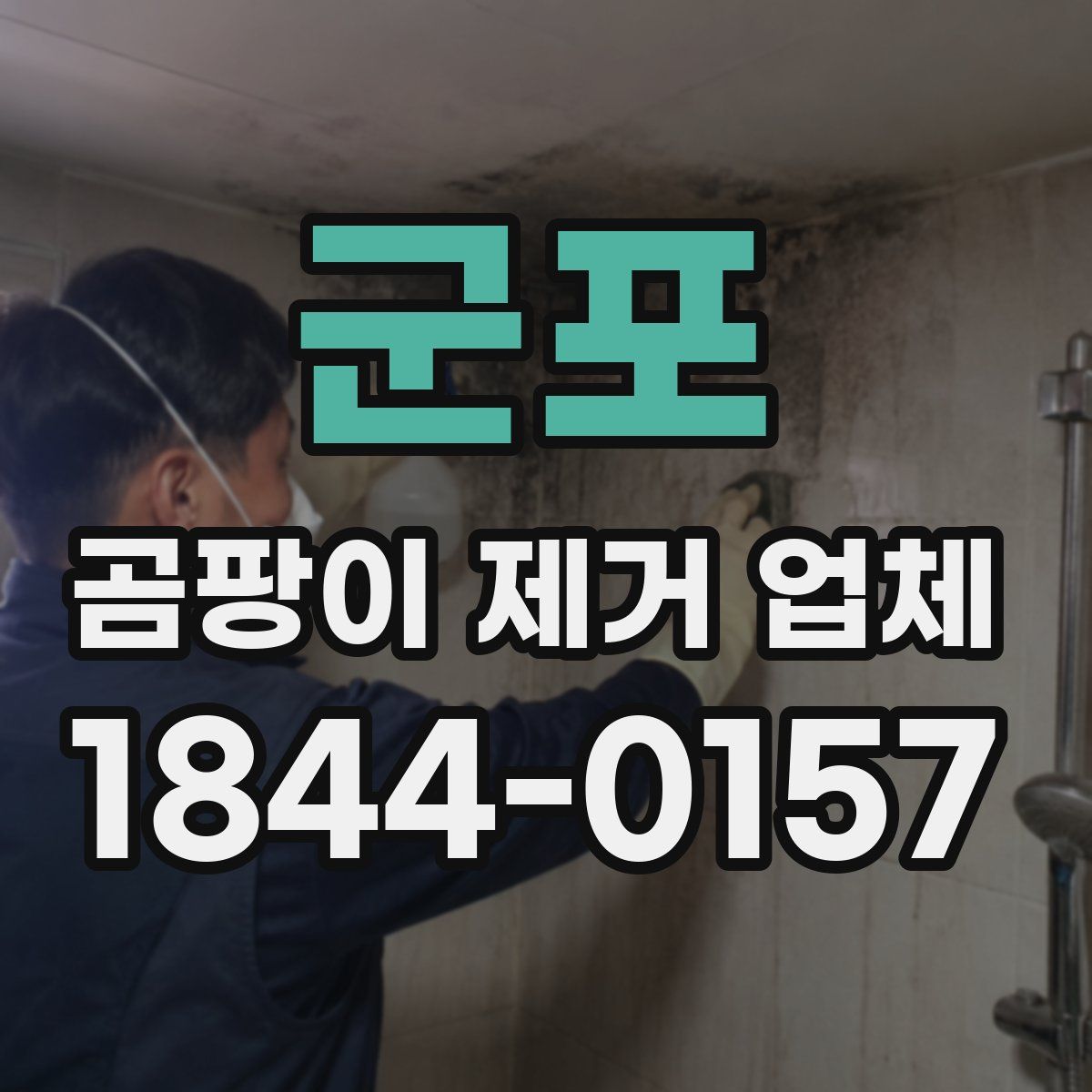 군포 곰팡이 제거 업체