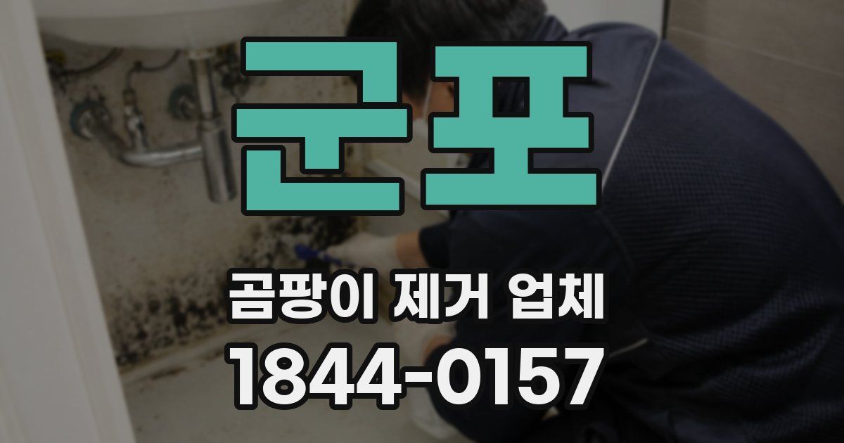 군포 곰팡이 제거 업체