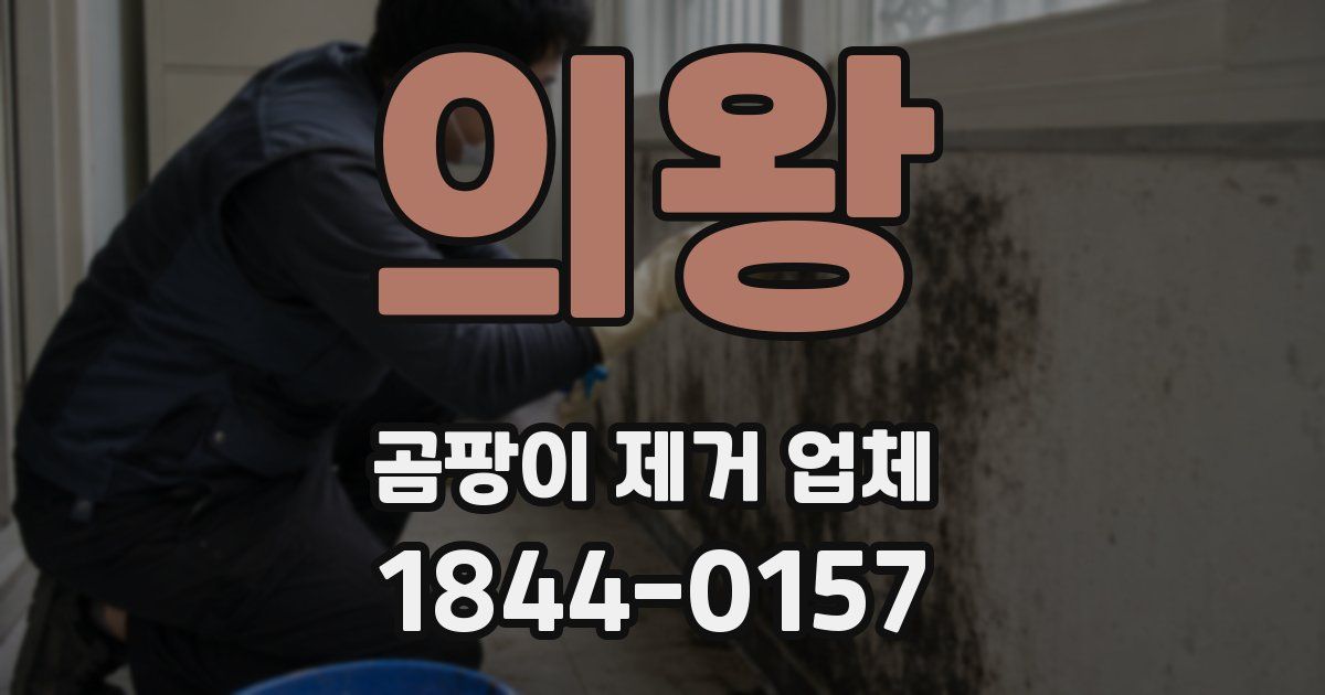 의왕 곰팡이 제거 업체