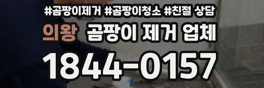 의왕 곰팡이 제거 업체