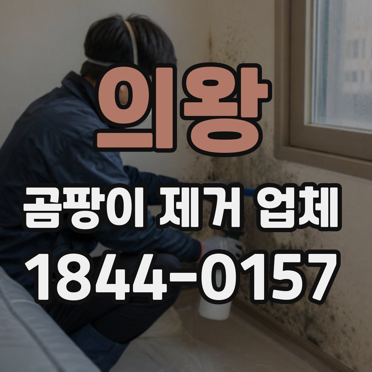 의왕 곰팡이 제거 업체