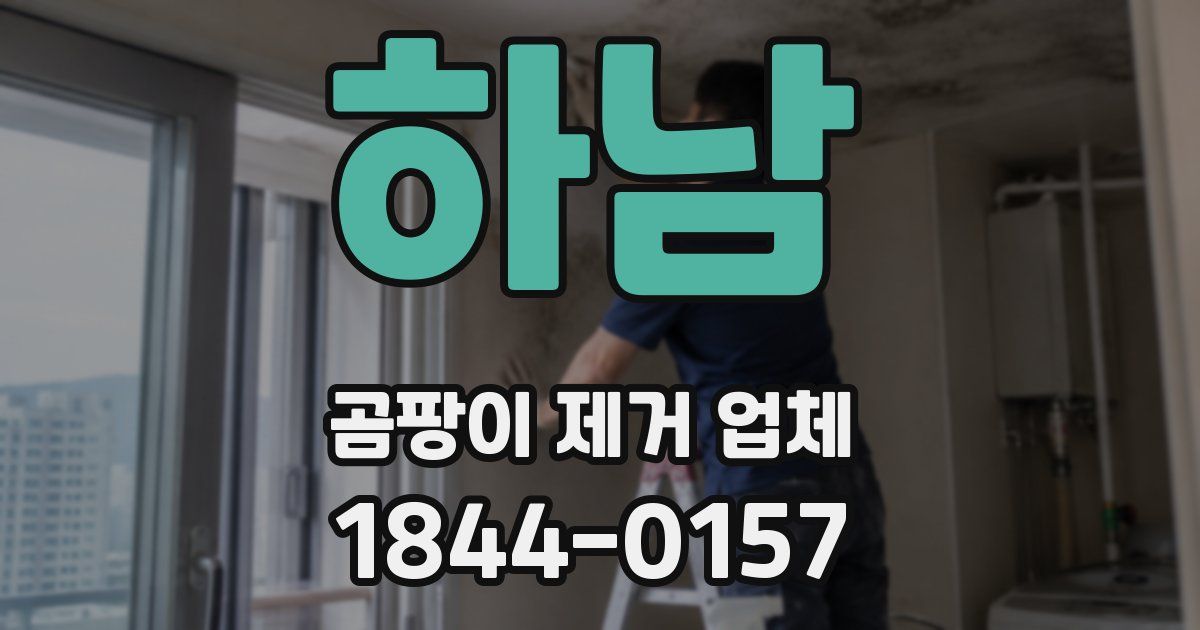 하남 곰팡이 제거 업체