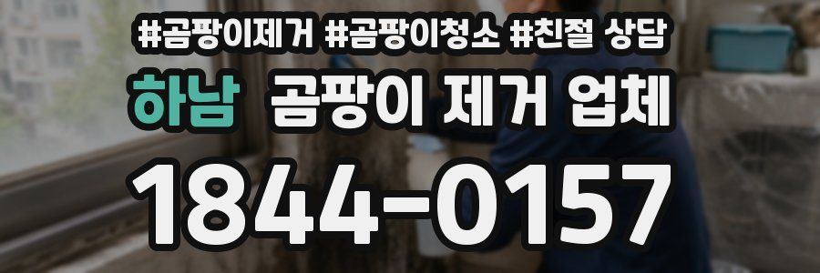 하남 곰팡이 제거 업체