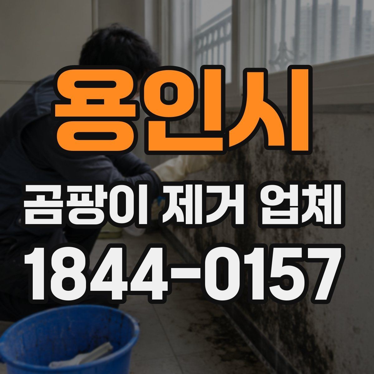 용인시 곰팡이 제거 업체 요청이 많은 계절과 이유