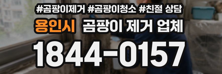 용인시 곰팡이 제거 업체