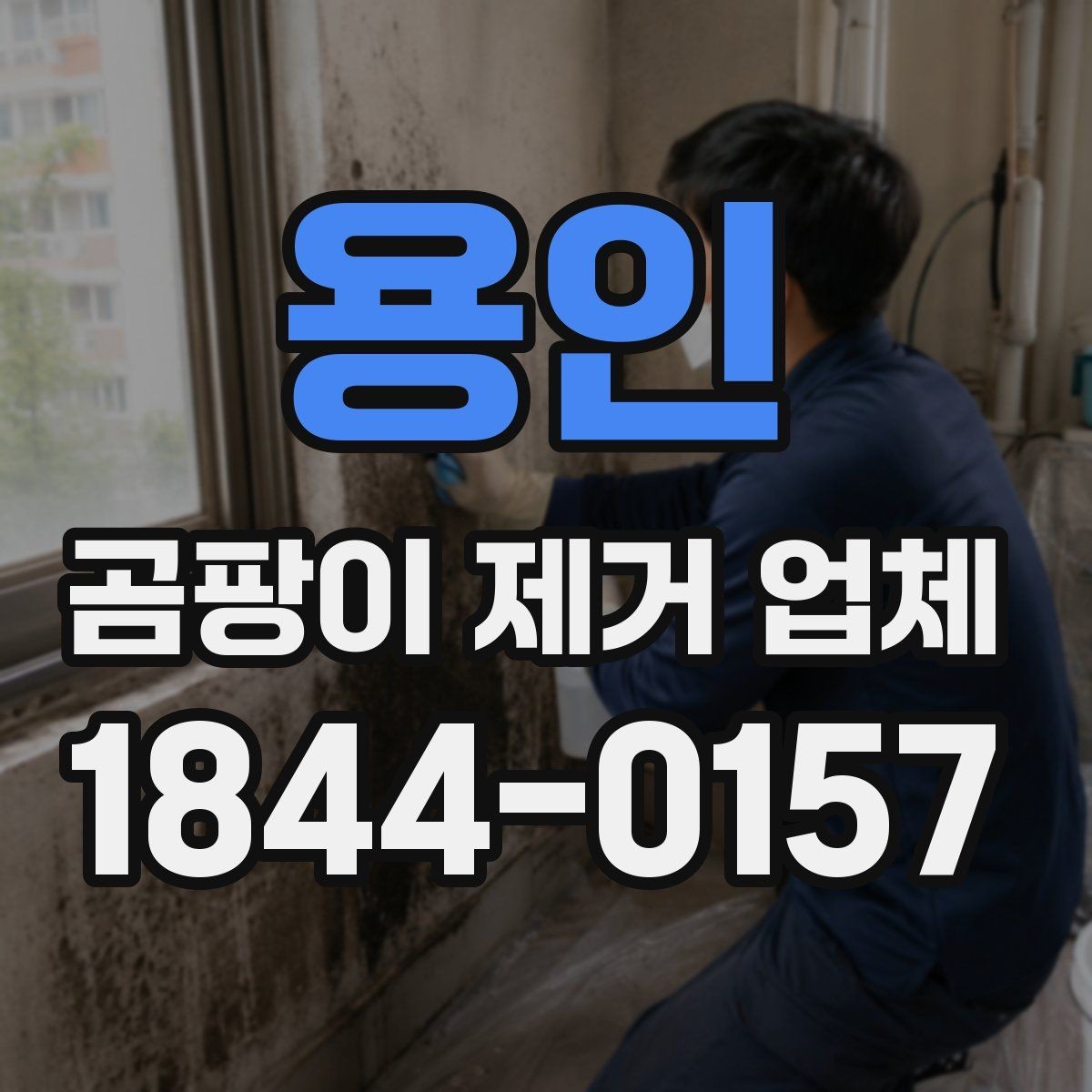 용인 곰팡이 제거 업체 시공 품질을 판단하는 기준
