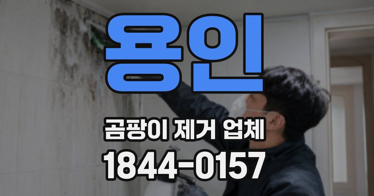 용인 곰팡이 제거 업체