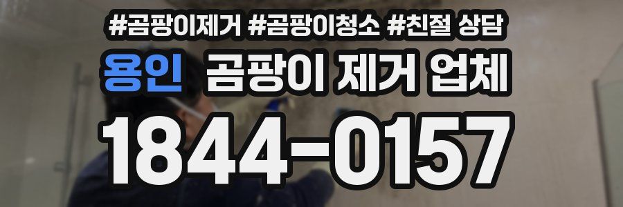 용인 곰팡이 제거 업체