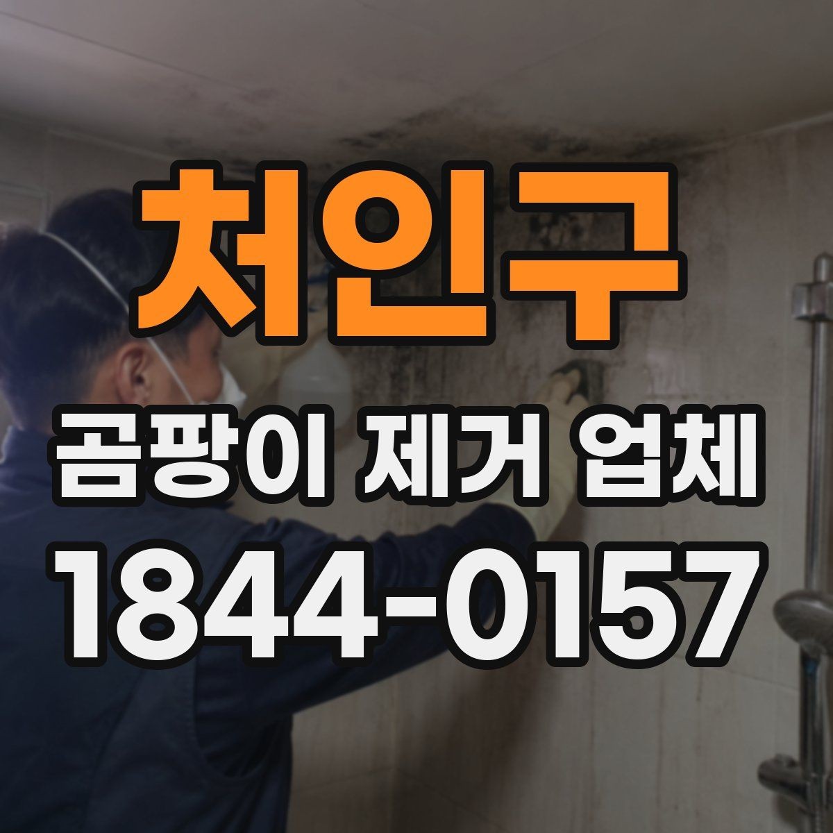 처인구 곰팡이 제거 업체 문의 전 사진을 보내는 이유