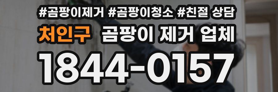 처인구 곰팡이 제거 업체