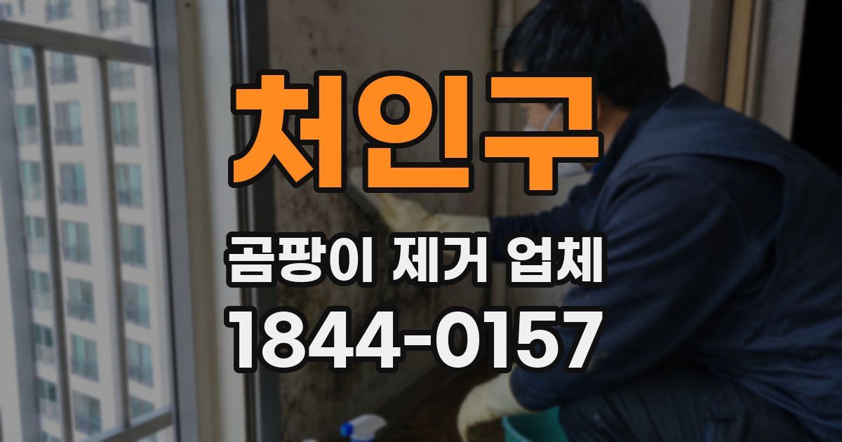 처인구 곰팡이 제거 업체