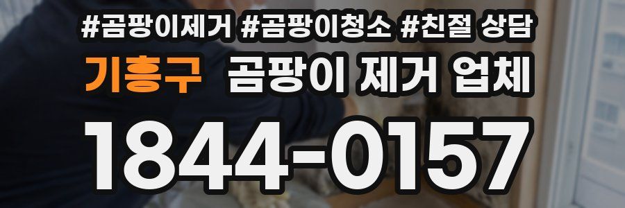 기흥구 곰팡이 제거 업체