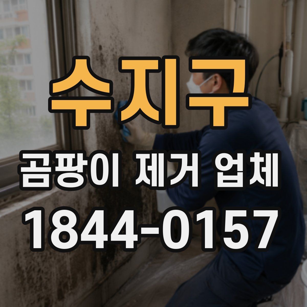 수지구 곰팡이 제거 업체 문의부터 진행까지의 흐름