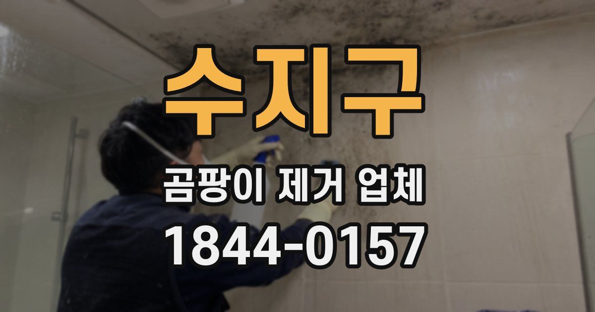 수지구 곰팡이 제거 업체
