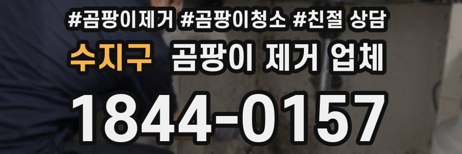 수지구 곰팡이 제거 업체