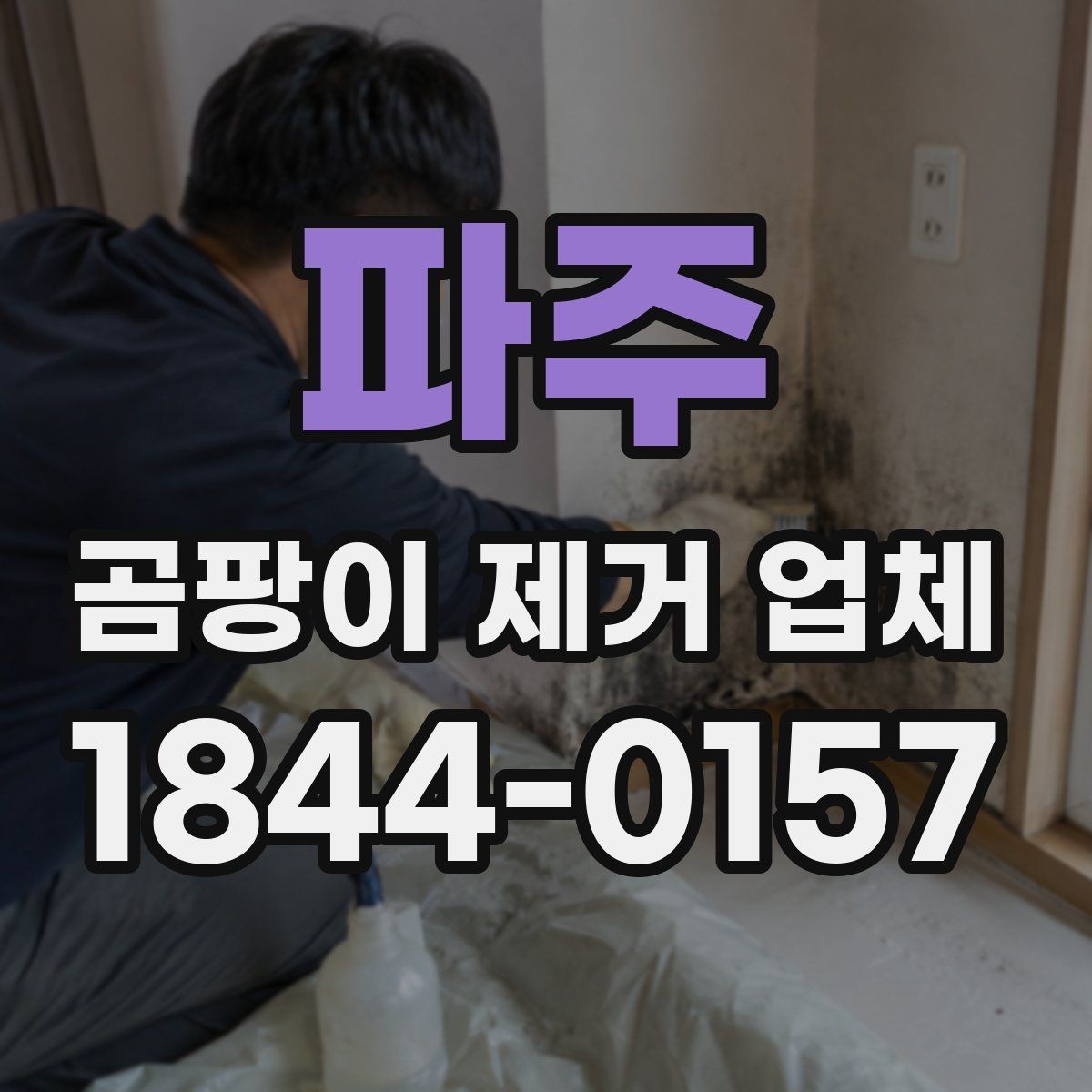 파주 곰팡이 제거 업체 선택에 참고할 점검 항목