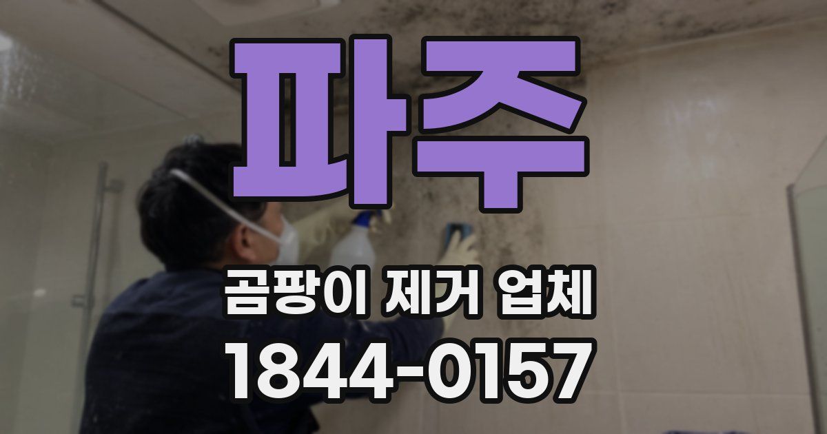 파주 곰팡이 제거 업체