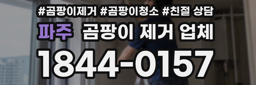 파주 곰팡이 제거 업체