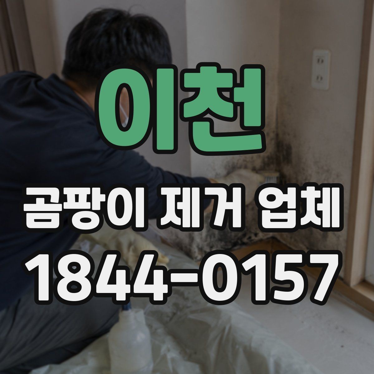 이천 곰팡이 제거 업체 이용 시 사후 점검이 중요한 이유