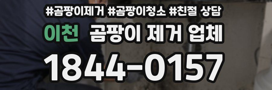 이천 곰팡이 제거 업체