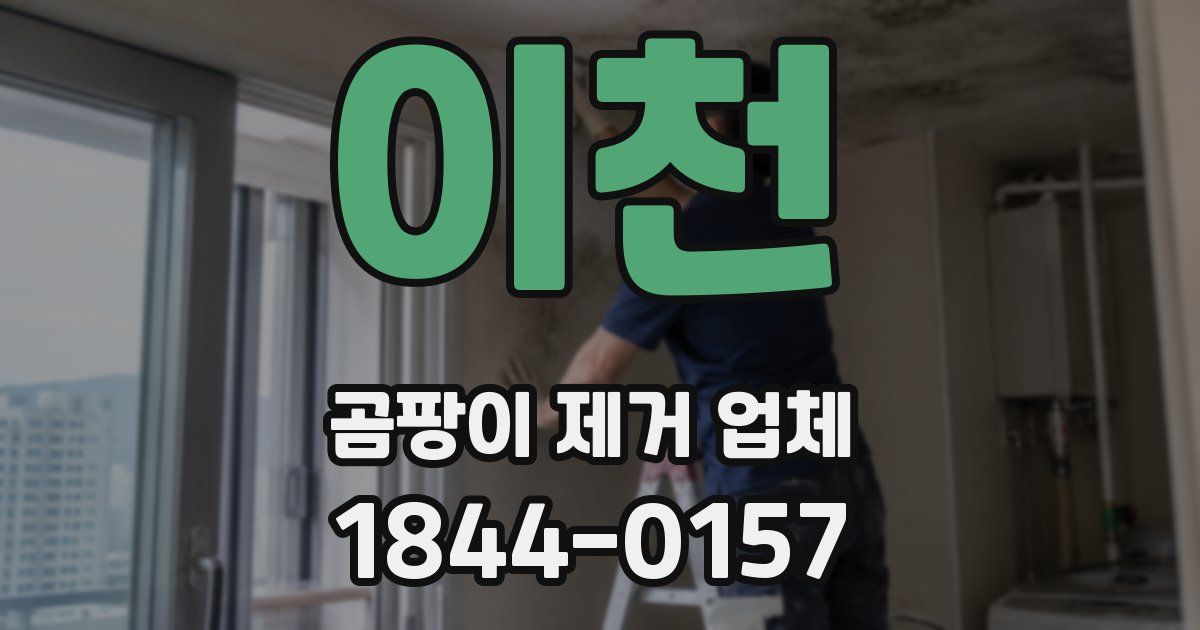 이천 곰팡이 제거 업체