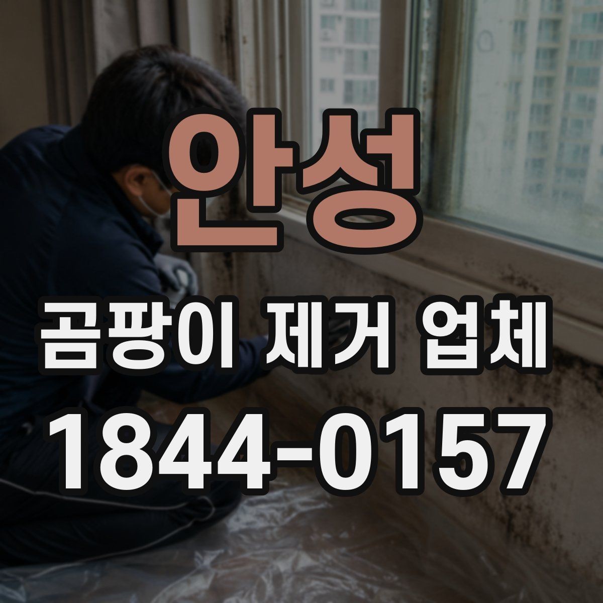 안성 곰팡이 제거 업체 선택에 참고할 점검 항목