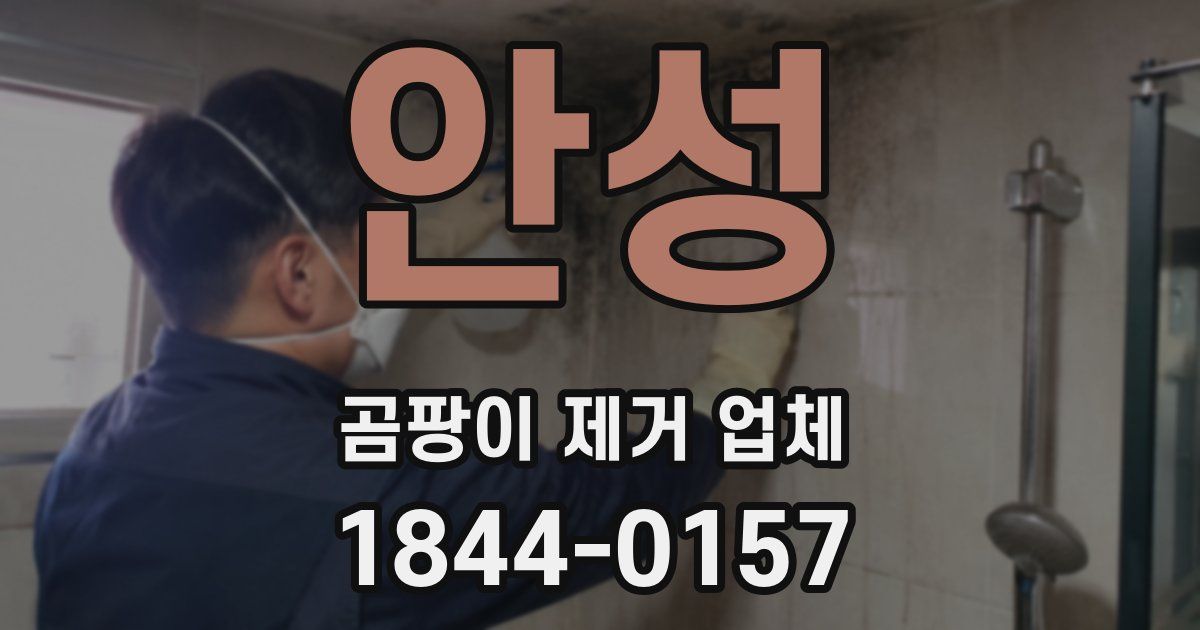 안성 곰팡이 제거 업체