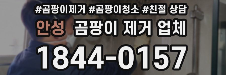 안성 곰팡이 제거 업체