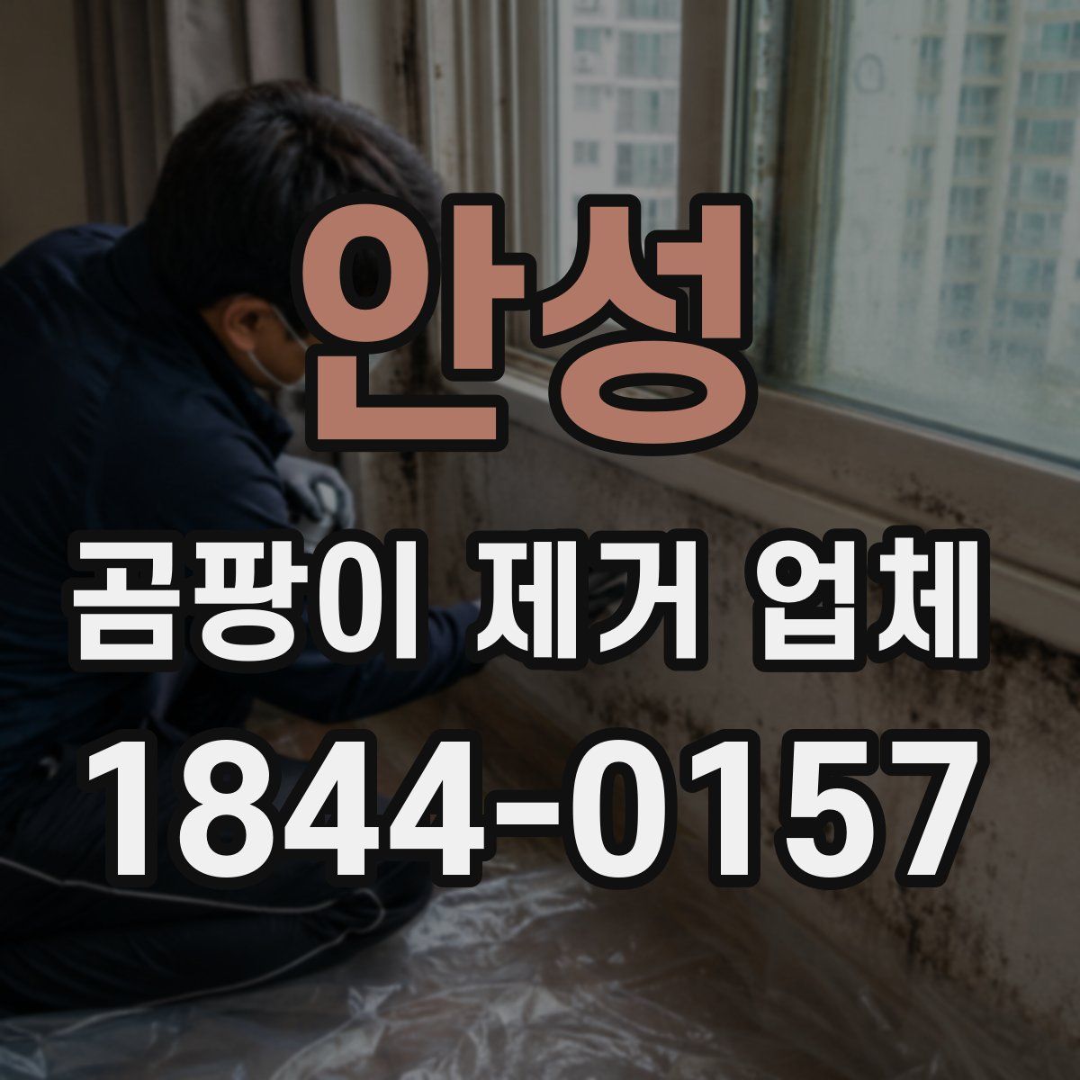 안성 곰팡이 제거 업체