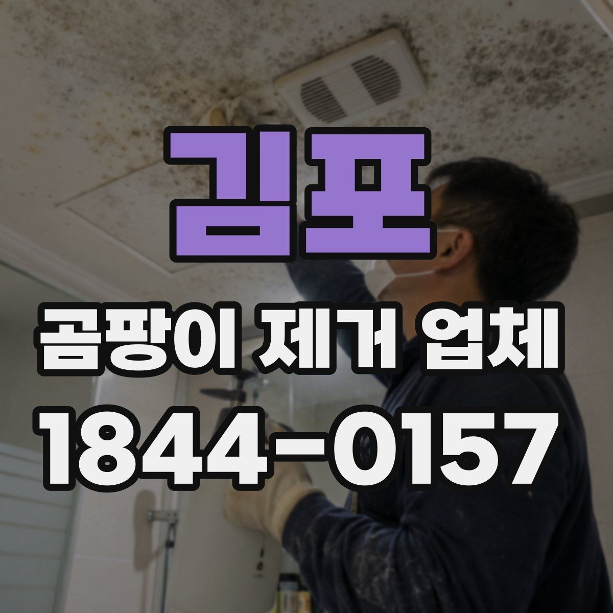 김포 곰팡이 제거 업체 상담 예약 전 준비사항