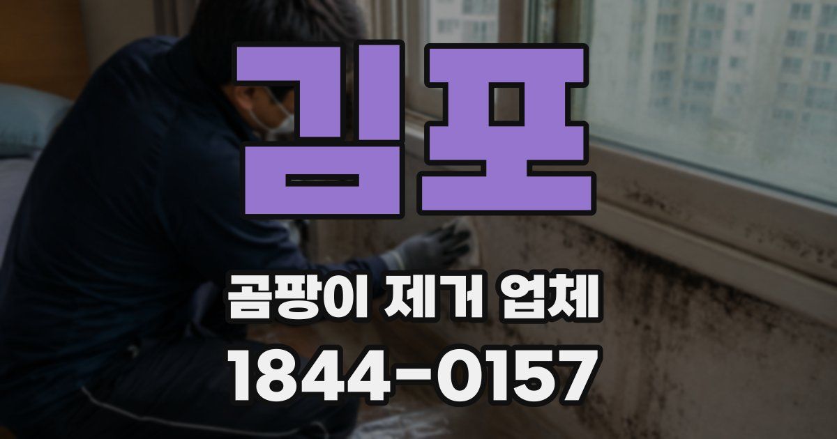 김포 곰팡이 제거 업체