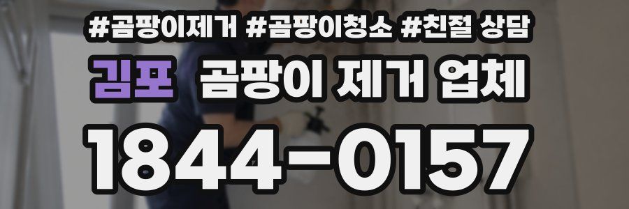 김포 곰팡이 제거 업체