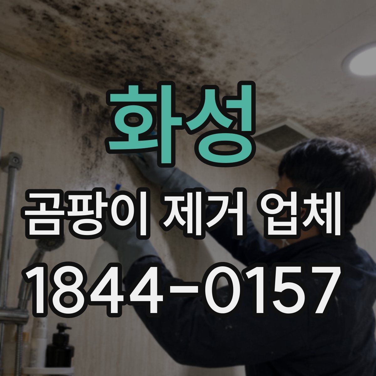 화성 곰팡이 제거 업체 사용 후기에서 신뢰할 정보 찾기