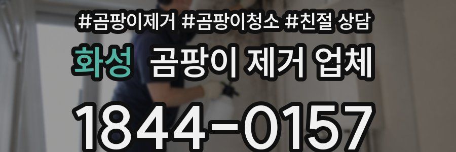 화성 곰팡이 제거 업체