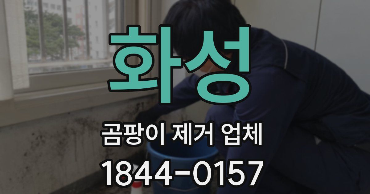 화성 곰팡이 제거 업체