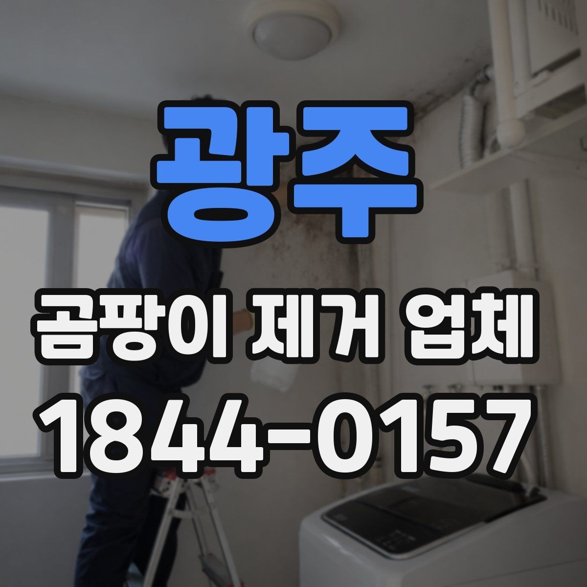 광주 곰팡이 제거 업체 선택할 때 확인할 점