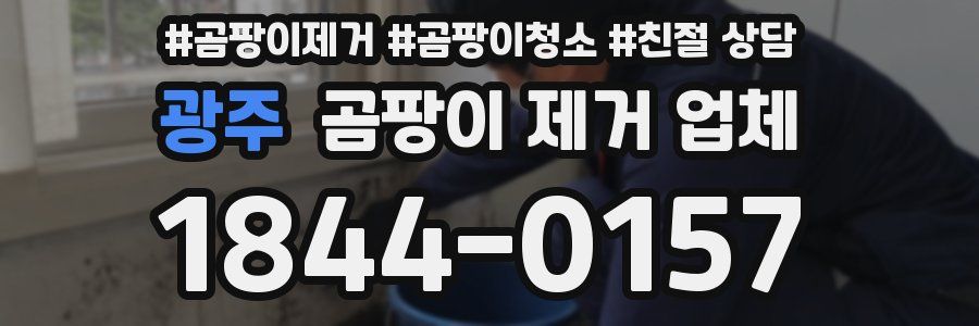 광주 곰팡이 제거 업체